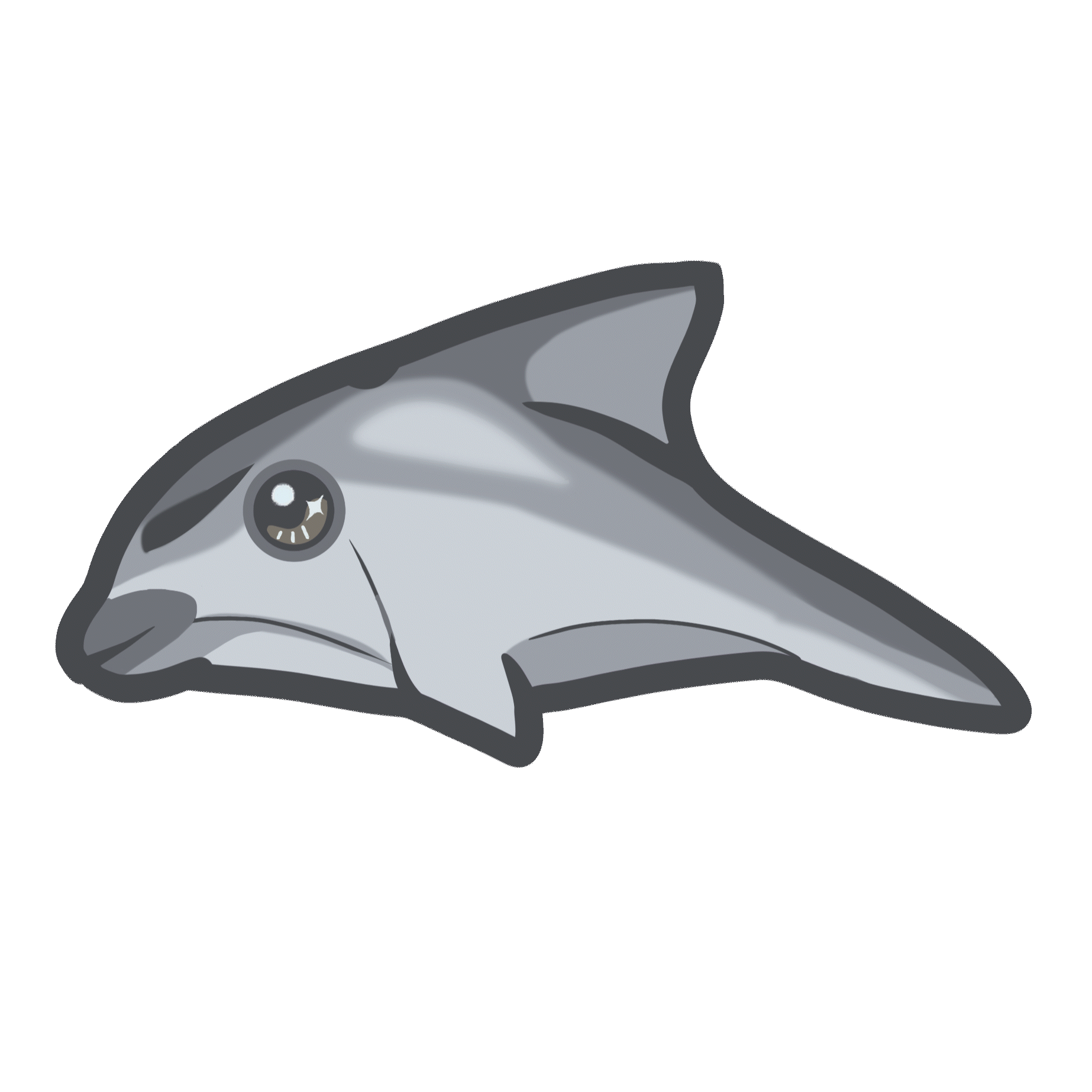 Vaquita with sparkling eyes